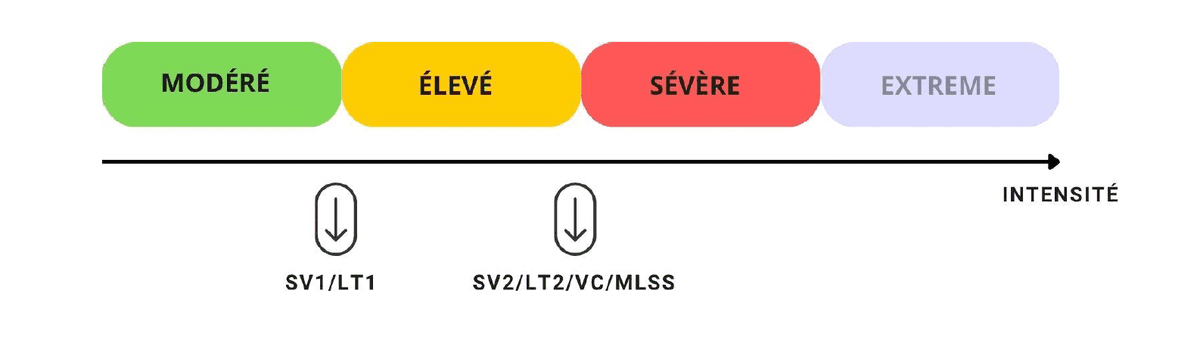Spectre des domaines d'intensité : Modéré, Élevé, Sévère et Extrême, délimités par SV1/LT1 et SV2/LT2/VC/MLSS
