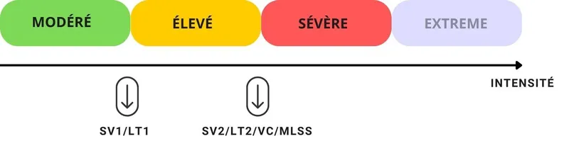 Le spectre d'intensité : comprendre les domaines physiologiques