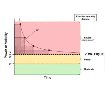Vitesse Critique : Guide Coureur