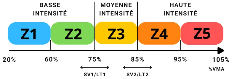 Les limites de la VMA pour prescrire l'entraînement